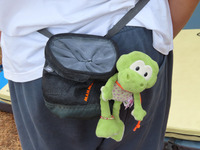 preview_image