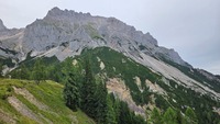 preview_image
