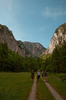 preview_image
