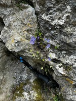 preview_image