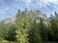 preview_image