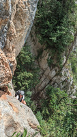 preview_image