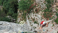 preview_image